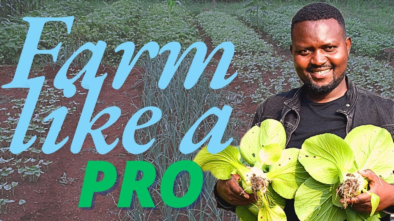 Secrets to sustainable farming in Africa (A documentary on GROW BIOINTENSIVE farming in Africa)