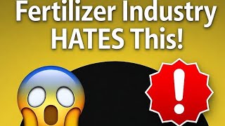 Korean Farmers Exposed This Secret Soil Hack | Replace Fertilizer Forever With IMO Shortcut