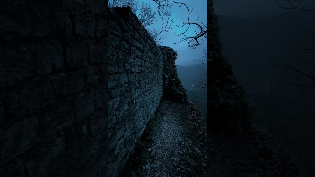 Παρακολούθηση "This Forest Is Too Beautiful to Be Real"#shorts #shortvideo #relaxing #nature #mindfulness #reels στο YouTube Παρακολούθηση "This Forest Is Too Beautiful to Be Real"#shorts #shortvideo #relaxing #nature #mindfulness #reels στο YouTube
