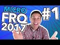 Microeconomics Free Response Practice Quiz