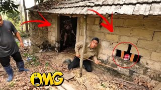 Defeat Giant Monster and Snake Living In The Abandoned House