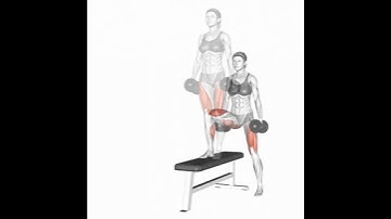 Step up no banco com halteres #dicasdetreino #personaltrainer #fitness #blfitness #hashtags