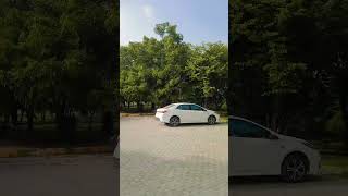 Kachnar Park Vibes I-8 Islamabad Nature & Relaxing Walks In The Capital