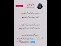Best lines #sad urdu poetry 💔 #sadshayari #subscribe #trendingshorts viral reels shairi states