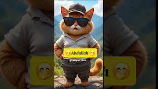 Cat Talking To Abdullah In Funny Style
