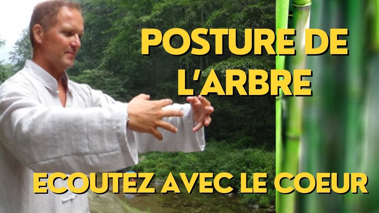 Soie-ZenExtrait du Qi Gong en ligne - La posture de l'arbre, l