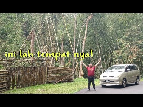 Video: Tempat Perkhemahan Terbaik Di AS