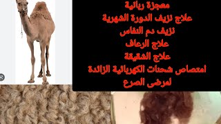 علاج نزيف الدورة الشهرية نزيف دم النفاس. علاج الرعاف والشقيقة امتصاص الشحنات الكهربائية لمرضى الصرع