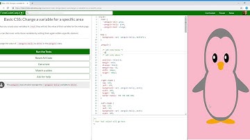 Basic CSS  Change a variable for a specific area   Learn freeCodeCamp43/44