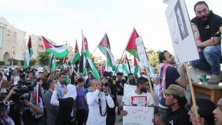 اعتصام جك ٢١٧ احياء لذكرى احتلال فلسطين السادسة والستين