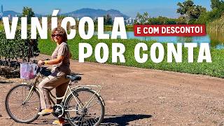 Cousiño Macul: The easiest winery to reach on your own in Santiago