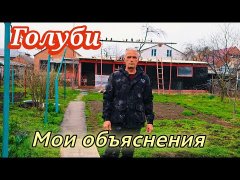 Голуби Посмотри и Послушай