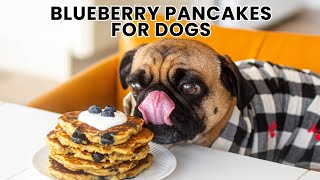 Blueberry Pancakes for Dogs My Pug is Obsessed With! Dog Friendly Pancake Recipe