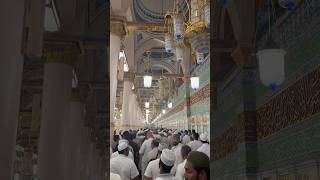 Muhammad Nabina ?? ytshorts trendingshorts shortsfeed masjidnabawi madina islamicshorts