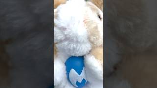 Securing the ultimate egg in the basket