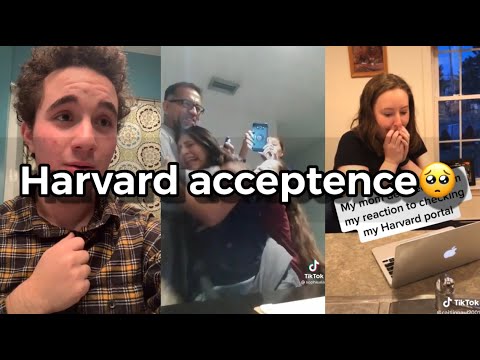 The most cutest reactions on Harvard acceptance???!! |{TikTok Edition}|