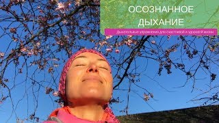 7 Упражнение: Осознанное Дыхание