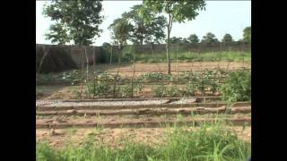 MOUSTAPHA NIASSE SUR L'AGRICULTURE AU SENEGAL