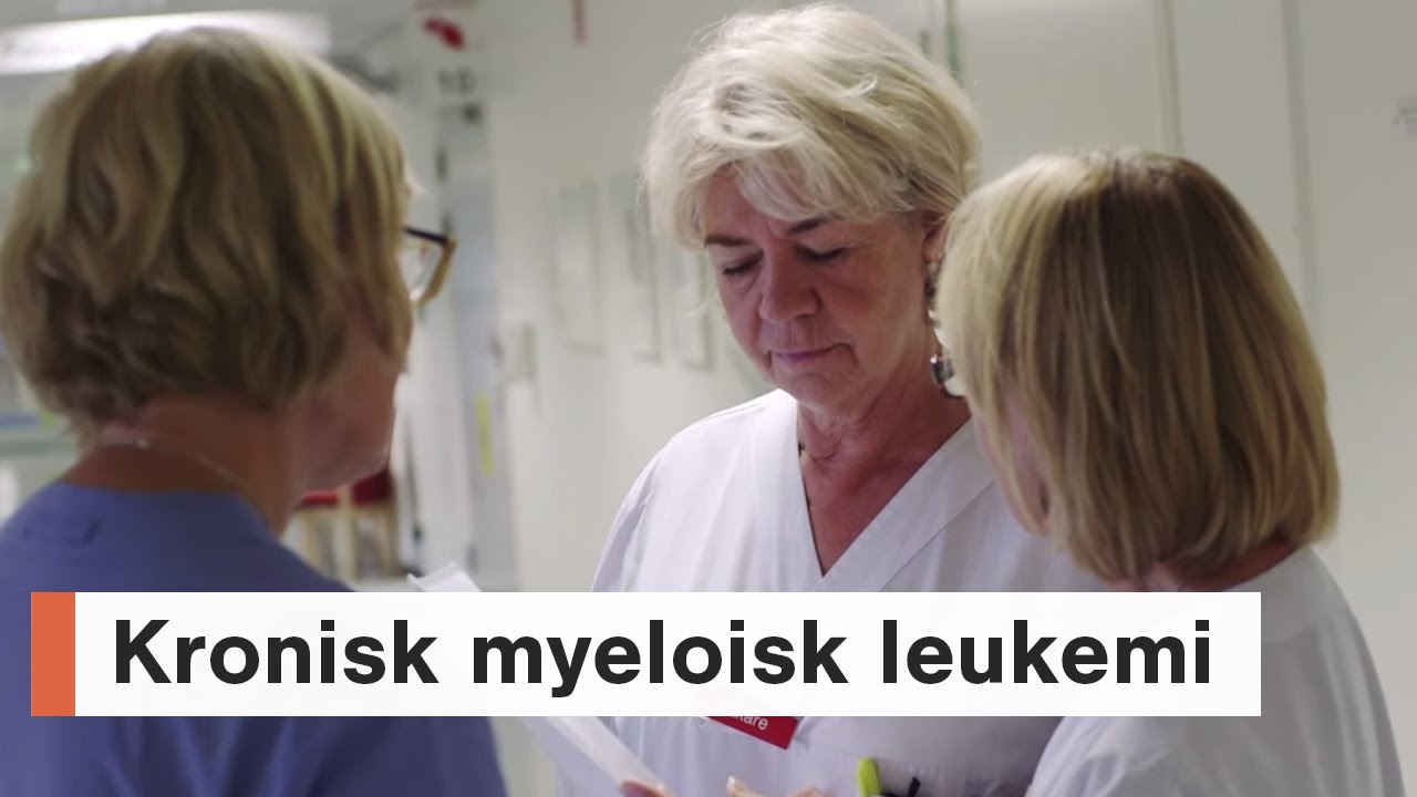Kronisk myeloisk leukemi - 1. Introduktion (English subs)