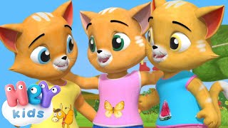 Drei Kleine Kätzchen kinderlied 🐱 KinderliederTV