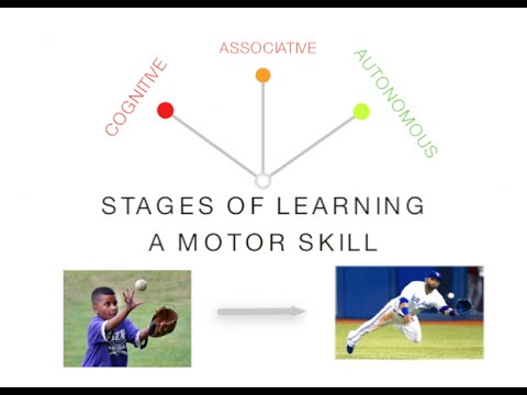 Stages of Learning: Skill Acquisition - PE u0026 Sport (Motor Skills)