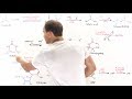 Pyrimidine Synthesis