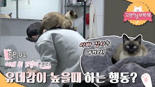 고양이를 부탁해  내 어깨 위 고양이 쪼미_#002