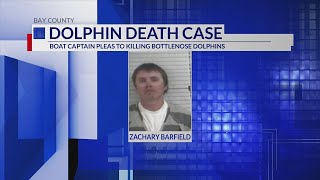 Bay County man facing plea deal after allegedly killing dolphins