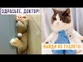 Здрасьте, доктор!))) Приколы с котами | Мемозг #574