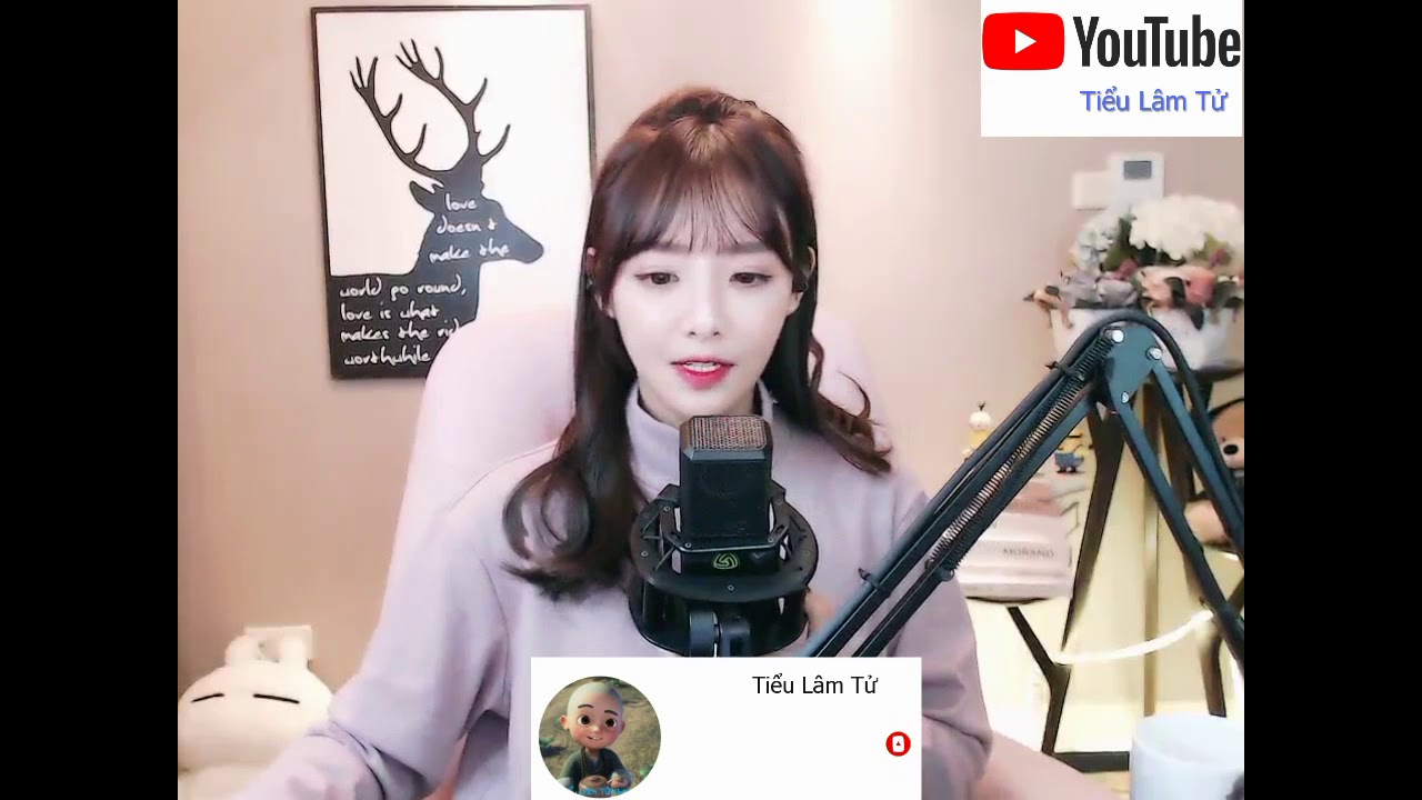Video YouTube