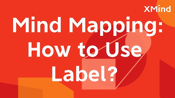 How to Use Label in XMind? (simple notes, categorizing & filtering info) | Feature Introduction