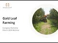 Gold Leaf Farming   Opportunity Overview Webinar