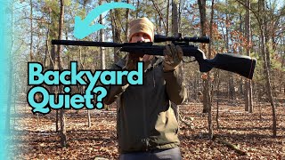 Gamo Swarm Maxxim G2 Review