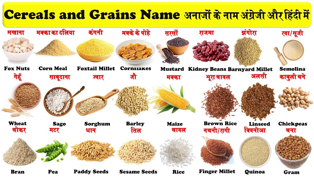 food grains essay in hindi