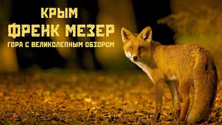 Френк Мезер - гора с великолепным обзором | Встреча с рыжим зверем