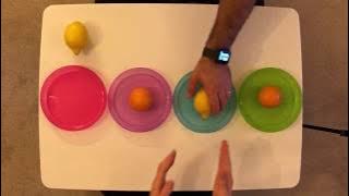 Okul Öncesi ve İlkokul İçin Eğlenceli Ritim Çalışması 2. VİDEO