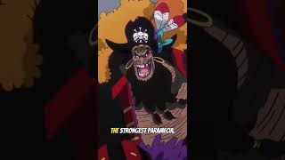 Why Blackbeard Can Use TWO Devil Fruits #onepiece #shorts