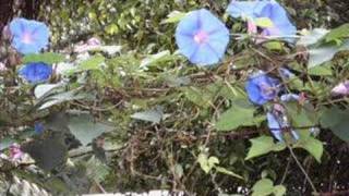 Bali 2008 part 1