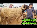 فسوق أحد سبع عيون🐏مواطن كلامه يبكي😭مايقدرش إعيد هاد عام بسبب غلاء 2024/05/12