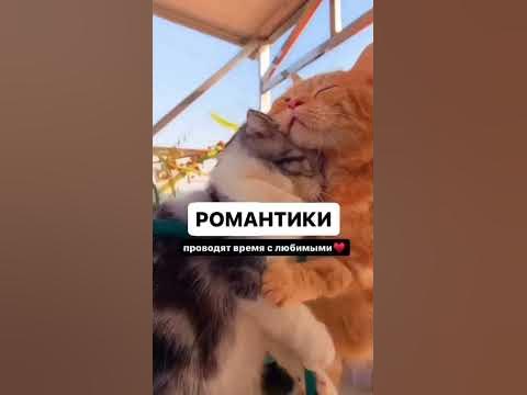 Как типажи проводят выходные 🔥 Хочешь узнать свой типаж? Переходи в ...