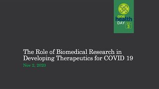 The Role of Biomedical Research in Developing Therapeutics for COVID-19 (Nov. 2, 2020)