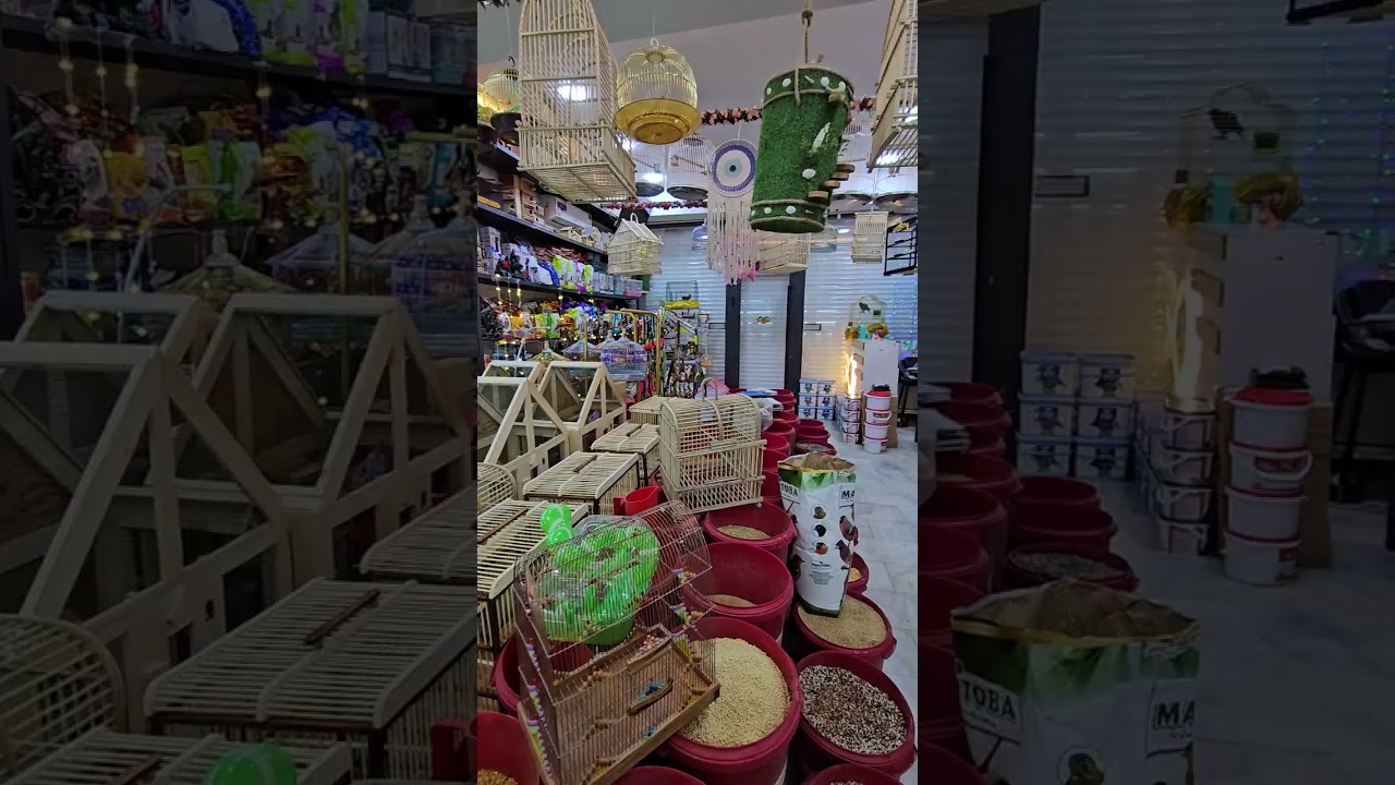 مسابقة جديده 