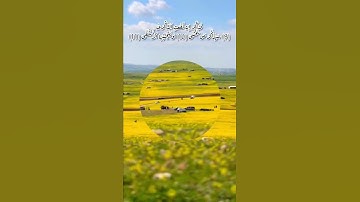 ماهر المعيقلي سورة الأعلى|حالات واتس اب ريلزات قرآن كريم |