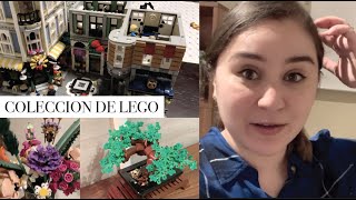 COLECCIONANDO LEGO | OneThousandLooks