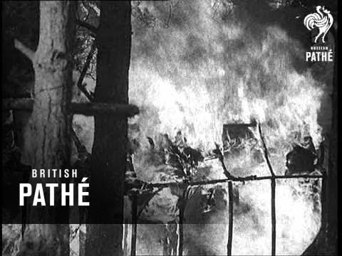 Its An Old Romany Custom 1934