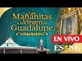 Las mañanitas a la Virgen de Guadalupe 2018  | ESNE
