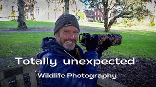 Wildlife photography at Newnham College
