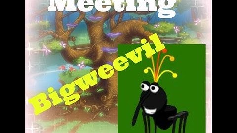 Meeting Big Weevil On Binweevils