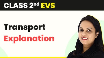 Class 2 EVS | Transport - Explanation