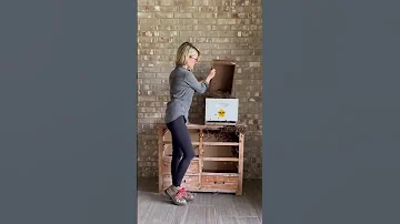 These Drawers Were Full of Bees! - Short Version